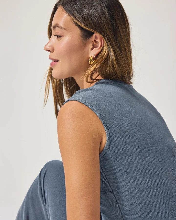 Splendid Indigo Dress