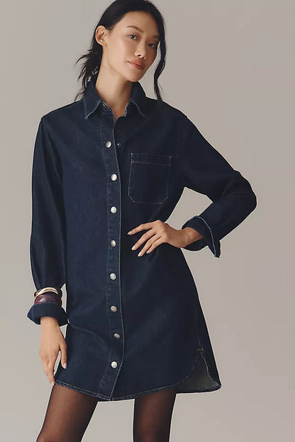 DL1961 Faye Shirt Dress