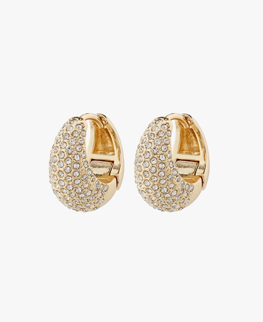 Pilgrim Focus Earring