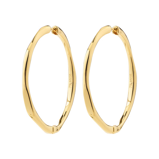 Pilgrim Presence LG hoop