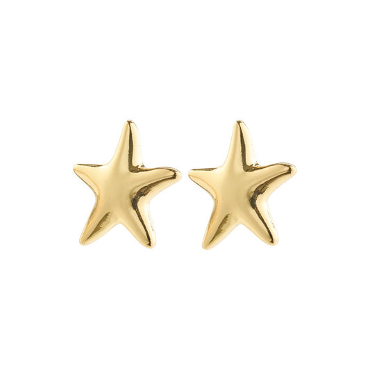 Pilgrim Force Star earrings