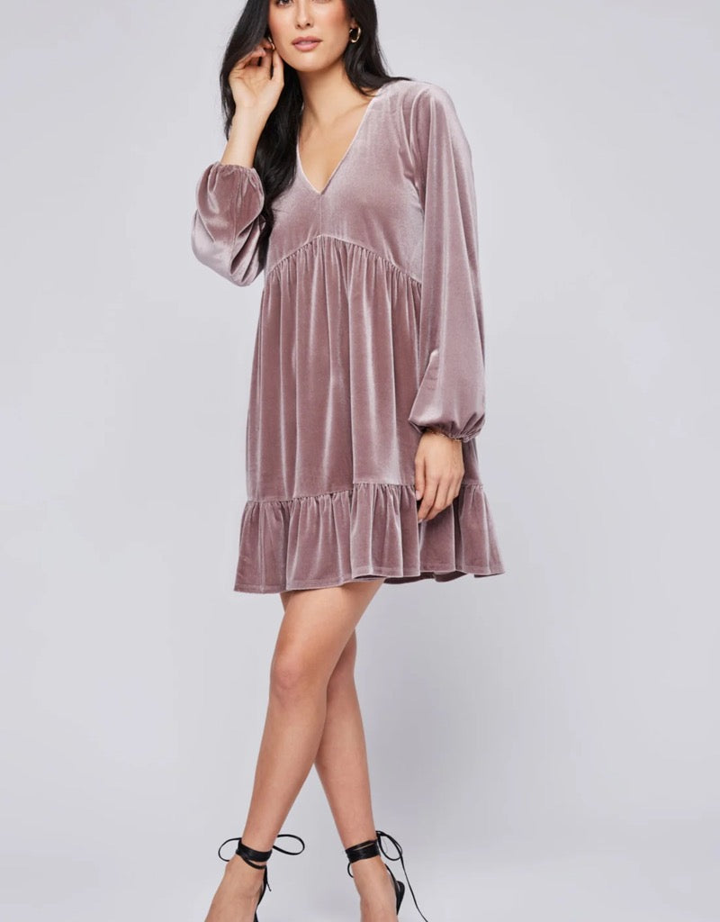 Gentle Fawn Phillipa Velvet Dress