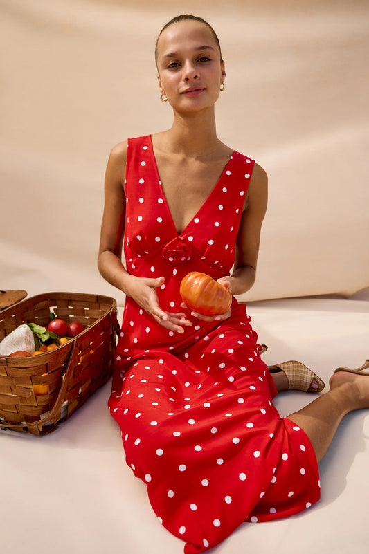 Rails Terena Dress